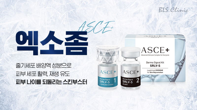엑소좀ASCE+