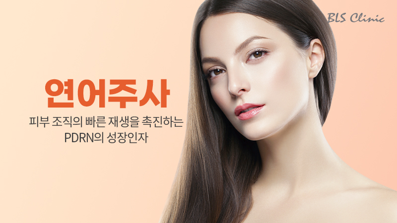 연어주사