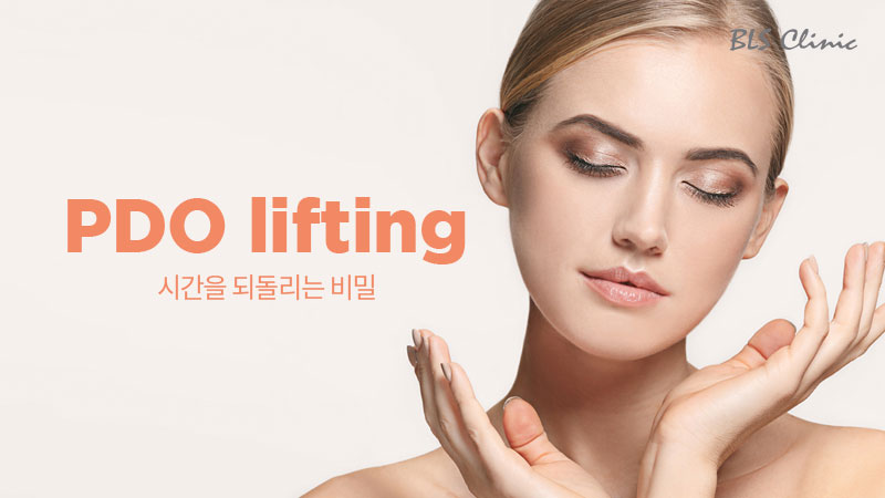 듀얼 리프팅